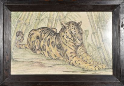 KAYOU (20th century). 
Ocelot in the bamboos....