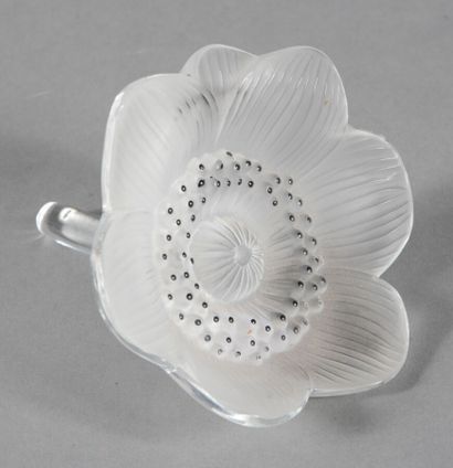 null LALIQUE CRYSTAL

"Open Anemone", created in 1931. Proof in pressed white moulded...