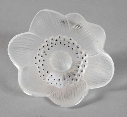 null LALIQUE CRYSTAL

"Open Anemone", created in 1931. Proof in pressed white moulded...