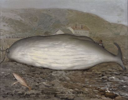 null Théodore LÉVIGNE (1848-1912).

Skaaro, Baleine échouée, d'après un croquis de...