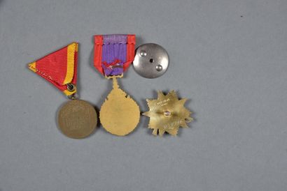 null LIECHENSTEIN. Médaille du Jubilée de 1908, bronze, on y joint une ETOILE de...
