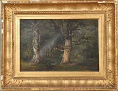 null Jules ANDRE (1807-1869).

Les chênes dans la foret

Huile sur toile.

Signé...