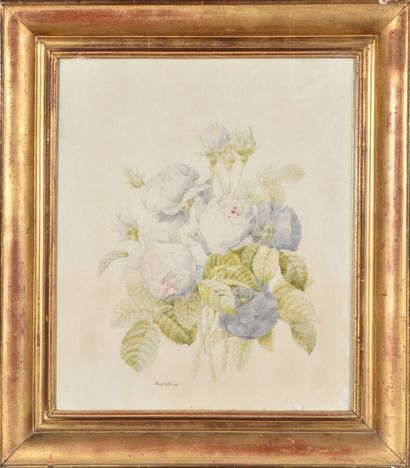 null Fanny DUVAL ( active au XIXème siècle).

Roses blanches,1855.

Aquarelle sur...