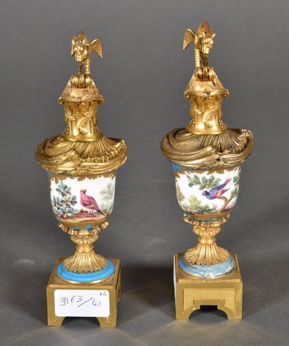 null Pair of porcelain ewers in the spirit of Sevres with blue background, reserves...