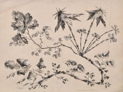 null D'après Jean PILLEMENT (1728 - 1808)

Fleurs idéales ou fleurs chinoises

Eaux-fortes

Epreuves...