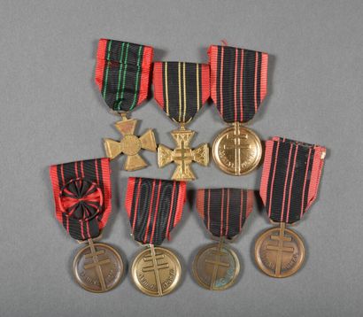 null France. Medals of the RESISTANCE (5) and cross of the Voluntary Combatant of...