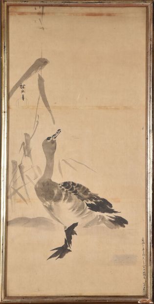 null Ink wash painting on paper depicting a goose with its head raised towards wild...