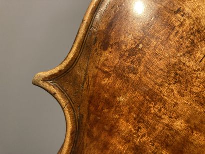 null Interesting anonymous violin of the 18th century Italian school 

More recent...