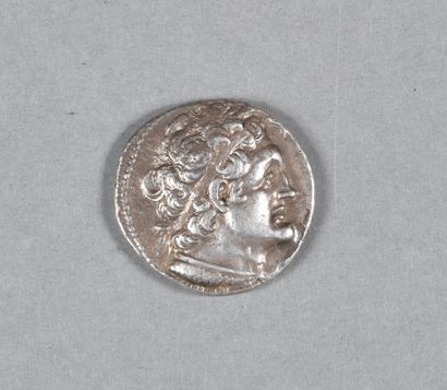  GRECE - EGYPTE. PTOLEMEE VI : tetradrachme en argent frappé à alexandrie, 13gr74,...