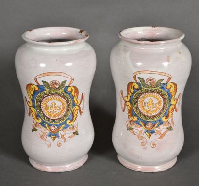 Pair of earthenware albarelli with polychrome...