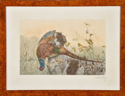  Léon DANCHIN (1887-1938) 
Chien de chasse tenant un faisan. 
Eau-forte en couleurs,...