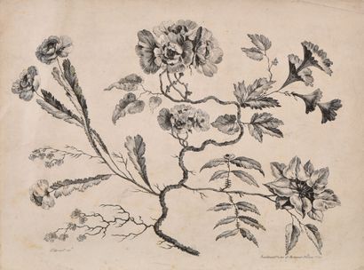 D'après Jean PILLEMENT (1728 - 1808) 
Fleurs...