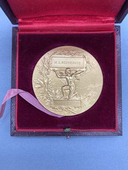null DUBOIS Henri (1859-1943), d'après

Médaille en or de la Caisse d'Epargne de...