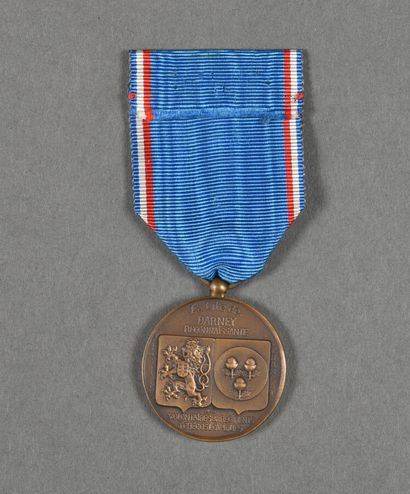 null France. Médaille de Darney.