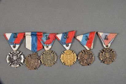 null Serbie. 1°Guerre, Médailles commémoratives, variantes, lot de 6.
