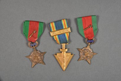 France. Médaille des Anciens de Rhin et Danube...