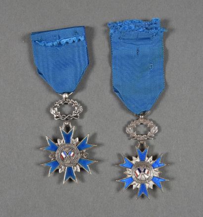 null France. National Order of Merit (1963). Knights, 5th Republic, set of 2.