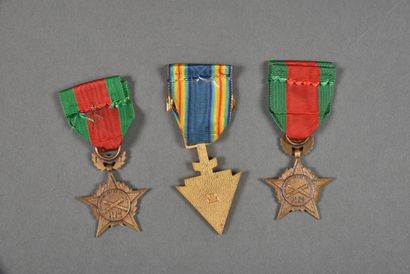 null France. Médaille des Anciens de Rhin et Danube (2) et médaille de la FIACA (1),...