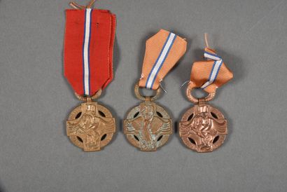 null Tchécoslovaquie. 1°Guerre, Médaille Commémorative Révolutionnaire de Bourdelle,...