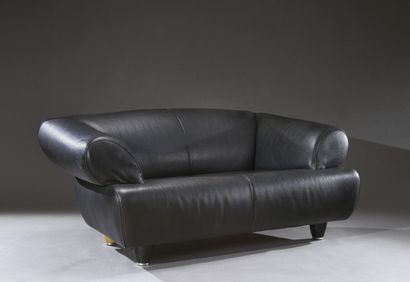 Canapé en buffle noir modèle DS91 de la maison...