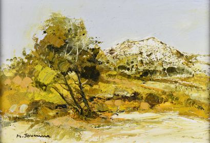 null Michel JOUENNE (1933-2021).

View on the Alpilles.

Oil on canvas.

Signed lower...