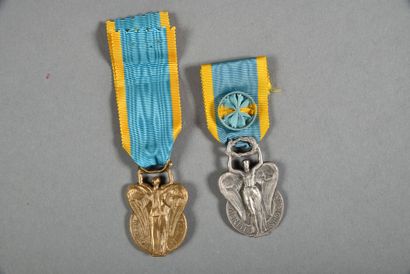 null France. Ordre du Mérite Sportif, officier(1) et chevalier(1), lot de 2.