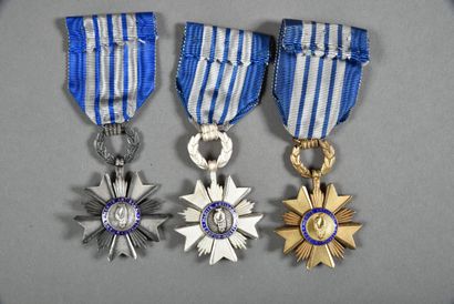 null France. Ordre du Mérite Artisanal, officier(2), chevalier(1), lot de 3.