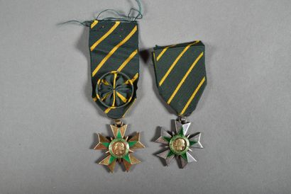 France. Ordre du Mérite Combattant, officier(1),...