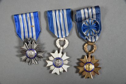 France. Ordre du Mérite Artisanal, officier(2),...