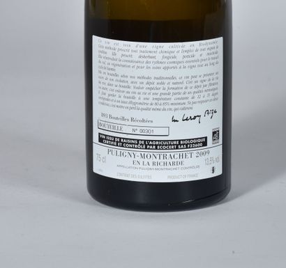 null 1 B PULIGNY-MONTRACHET EN LA RICHARDE (n°301; 893 bouteilles produites; quelques...