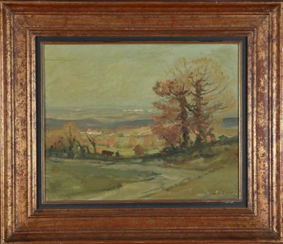 null Paul SURTEL (1893-1985).
Autumn landscape.
Oil on panel.
Signed lower right.
33...