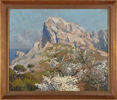 null Gustave Barthélémy VIDAL (1895-1966).
Amandiers en fleurs.
Huile sur toile.
Signé...