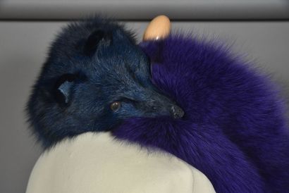 null Echarpe constitué de deux renards entiers lustrés, l'un bleu nuit, l'autre violet.
Très...