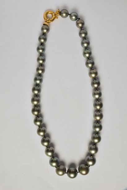Necklace of Tahitian pearls in fall (diameters:...