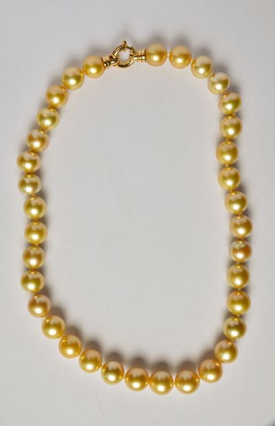 Necklace of cultured pearls 