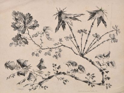 null D'après Jean PILLEMENT (1728 - 1808)
Fleurs idéales ou fleurs chinoises
Eaux-fortes
Epreuves...