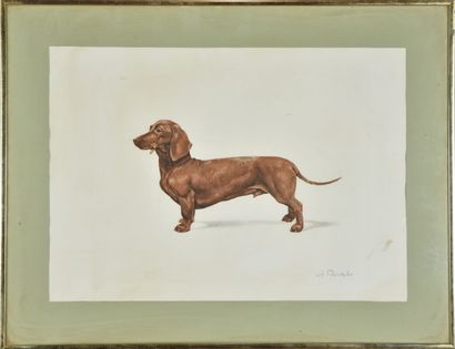 null J. RIVET (French school XXth century)
Basset hound
Etching in colors
31 x 40...