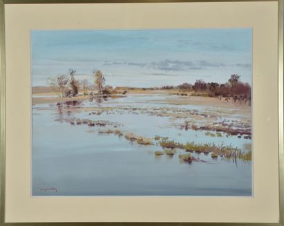 null Jacques COQUILLAY (Born in 1935).
Marshes in Autumn.
Pastel on paper.
Signed...