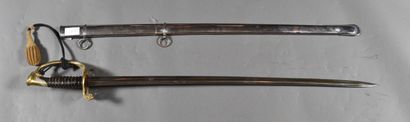 null FRANCE. Saber 1845/55, horn handle without watermark, iron scabbard 2 rings,...