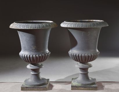 Pair of cast-iron Medici vases with gadroon...