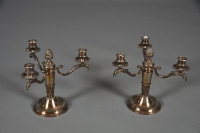 Pair of candelabras in the Louis XVI style...