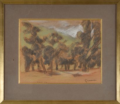 Pierre COMBET- DESCOMBES (1885-1966).
Landscape...