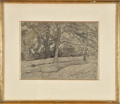 François VERNAY (1821-1896).
Trees in autumn.
Charcoal...
