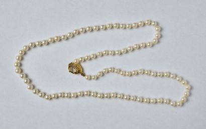 null Collier de perles de culture en choker (diamètres : 4.5 à 5 mm environ), le...