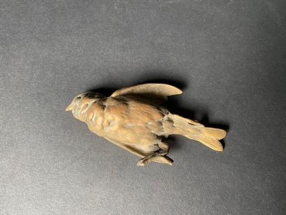 null Paul COMOLERA (1813-1890)
Oiseau gisant.
Bronze à patine dorée.
SIgné sur le...