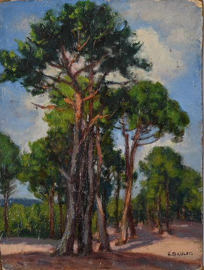 Henry GAULET (1863-1936?).
En lot:
-Les pins...