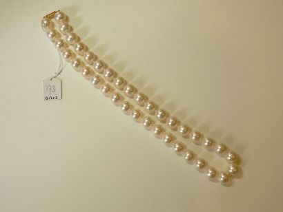 null Collier de perles de culture de Chine en choker diamètre 11,3 mm, fermoir or...