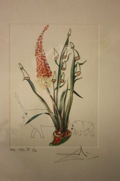 D'après Salvador Dali (1904-1989) D'après Salvador Dali (1904-1989)

Fleurs et animaux

Aquatinte...
