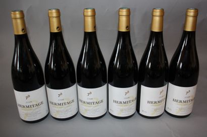 null 6 B HERMITAGE ASSEMBLAGE Bernard Faurie 2008