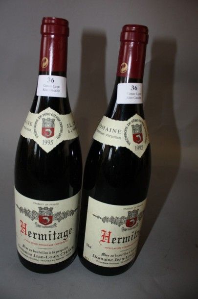 2 B HERMITAGE Rouge J.L. Chave 1995